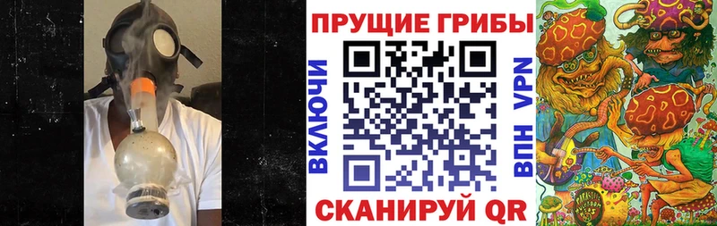 Галлюциногенные грибы Psilocybe  blacksprut как войти  Пугачёв 